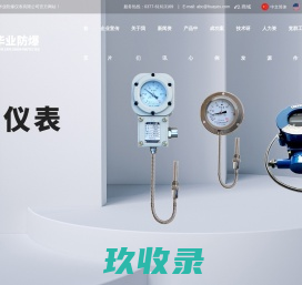 南阳市华业防爆仪表有限公司