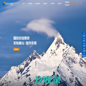 网站截图