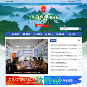 网站截图
