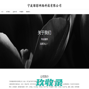 宁波绿影网络科技有限公司