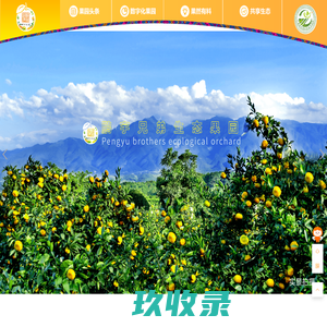 果园首页_广西桂林鹏宇兄弟桔柑产业开发有限公司