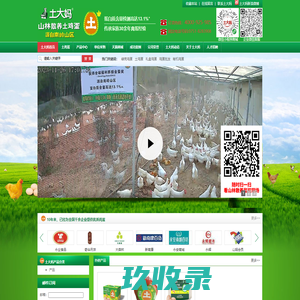山林散养土鸡蛋|非笼养鸡蛋|土鸡蛋|谷物蛋|高营养可生食鸡蛋-土大妈山林散养土鸡蛋官网