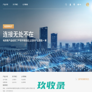 山东哈奈斯电子有限公司