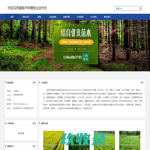 宿迁红叶石楠_金叶女贞-沭阳冯丙娟苗木种植专业合作社