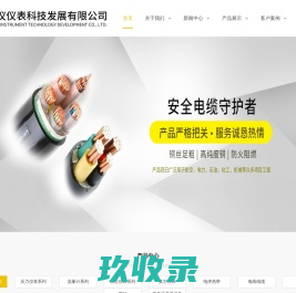 江西江仪仪表科技发展有限公司