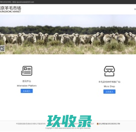 南京羊毛市场