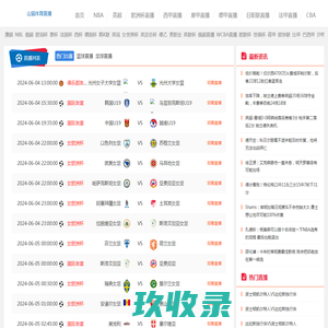 网站截图