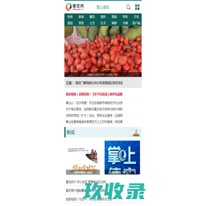 网站截图