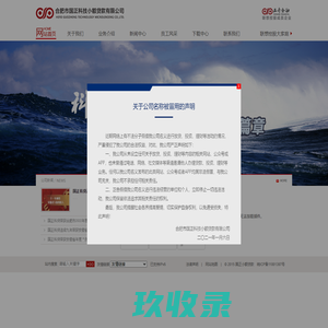 合肥市国正科技小额贷款有限公司