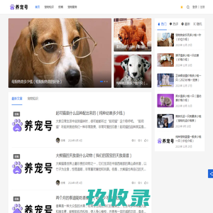 上海浦东川沙永安公墓--首页