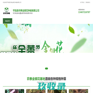 网站截图