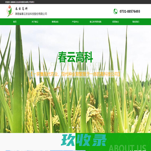 【官网】湖南春云高科|湖南种业研究院|湖南油菜种子公司|湖南水稻种子公司|湖南高油酸菜油供应商