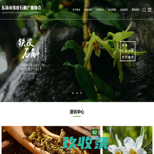 乐清市铁皮石斛产业协会