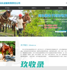 骡子运输队-马队运输-山区骡马运输队-四川小安马队运输有限责任公司