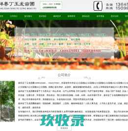 山东国槐，国槐价格、国槐树苗 - 嘉祥县丁玉龙苗圃