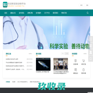 首页 - 百迈斯