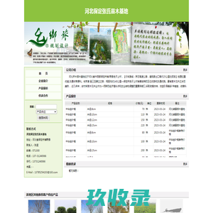 河北保定张氏苗木基地 - 主营速生柳.垂柳.香花槐.金叶榆.国槐.榆树