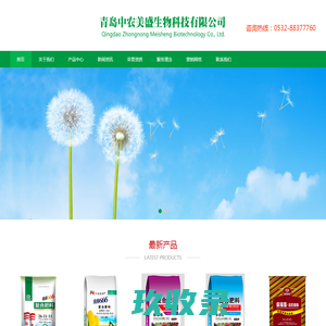 网站截图