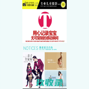 网站截图