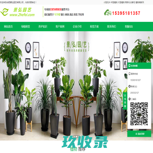 合肥办公室绿植租赁_花卉租摆出租【专业上门养护】-景弘园艺公司