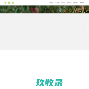 青岛普康田进出口有限公司-青岛普康田进出口有限公司