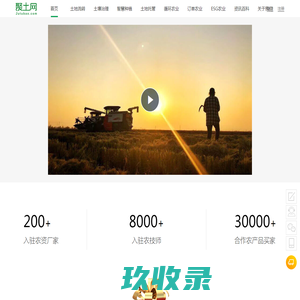 网站截图