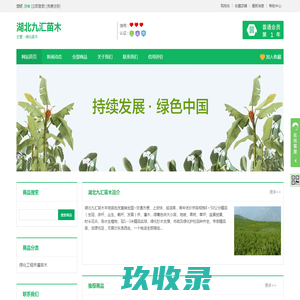湖北九汇苗木-湖北九汇苗木