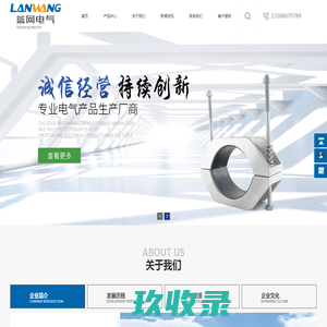 浙江蓝网电气有限公司