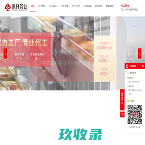 广东泰升药业有限公司
