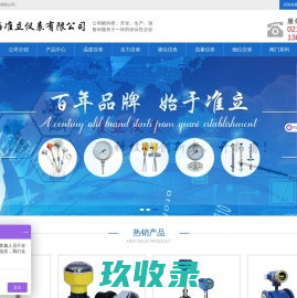 上海准立仪表有限公司