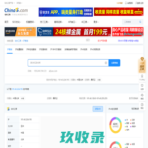 IP/IPv6查询，服务器地址查询 - 站长工具