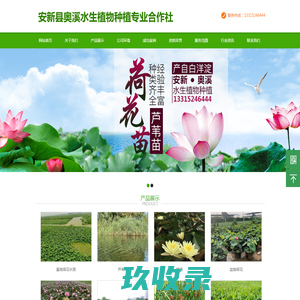 安新县奥溪水生植物种植专业合作社