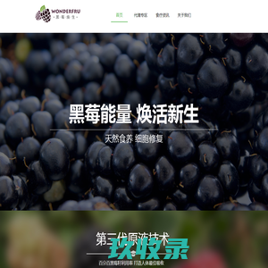 广州市超迪音响有限公司 – (香港天博)NEXO中港澳总代理